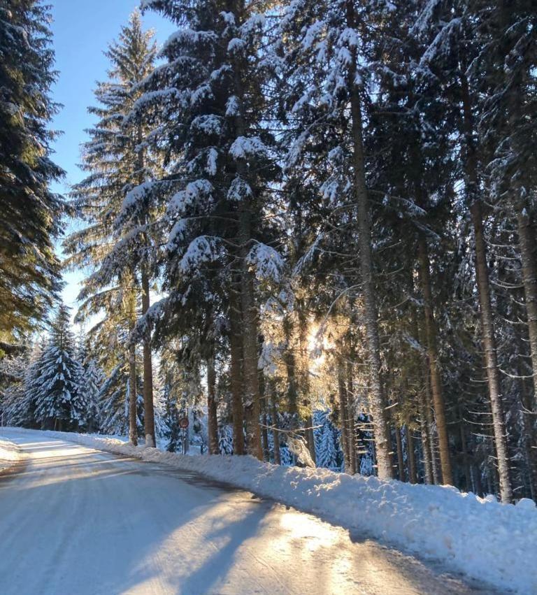 Familienapartment Sonne Und Schnee Kanzelhohe Eksteriør bilde